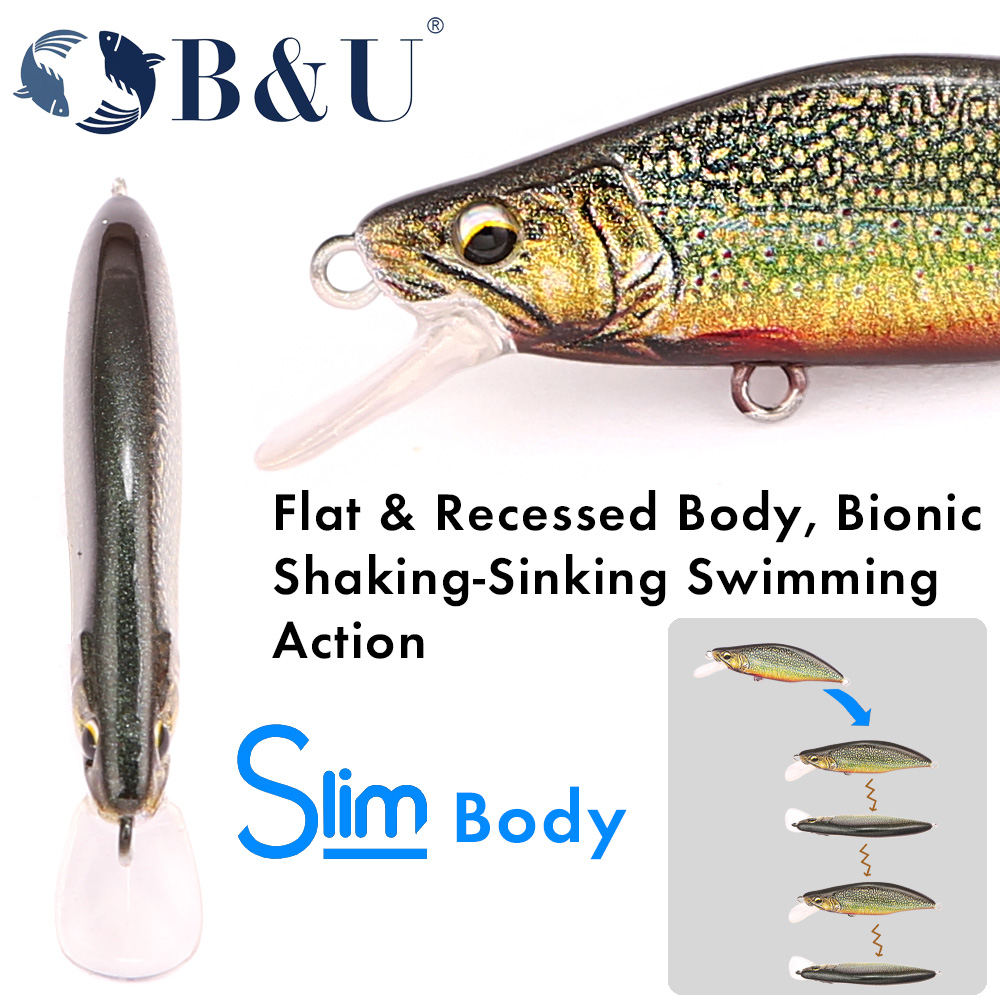 B&U 송어 패턴 하드 베이트 싱킹 미노우 낚시 미끼, - Fishing Hook Assortment 리뷰 및 가격