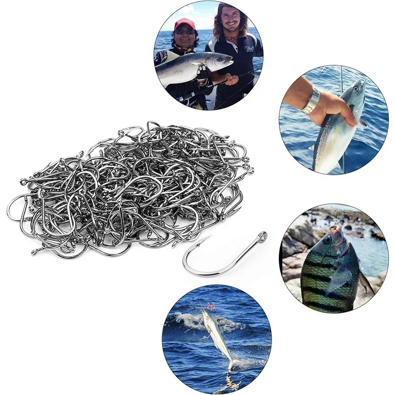 50-1600개/박스 낚시 바늘 탄소강 강력하고 날카로 - Fishing Hook Assortment 리뷰 및 가격
